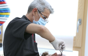 Dr Rémy Raspus Orthodontiste à Carnoux-en-Provence (13470)